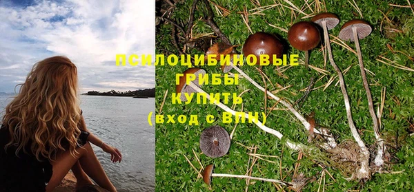 хмурый Орск