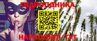 ECSTASY Гай