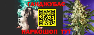 ECSTASY Гай