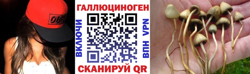 Галлюциногенные грибы Cubensis  omg ТОР  Волоколамск 