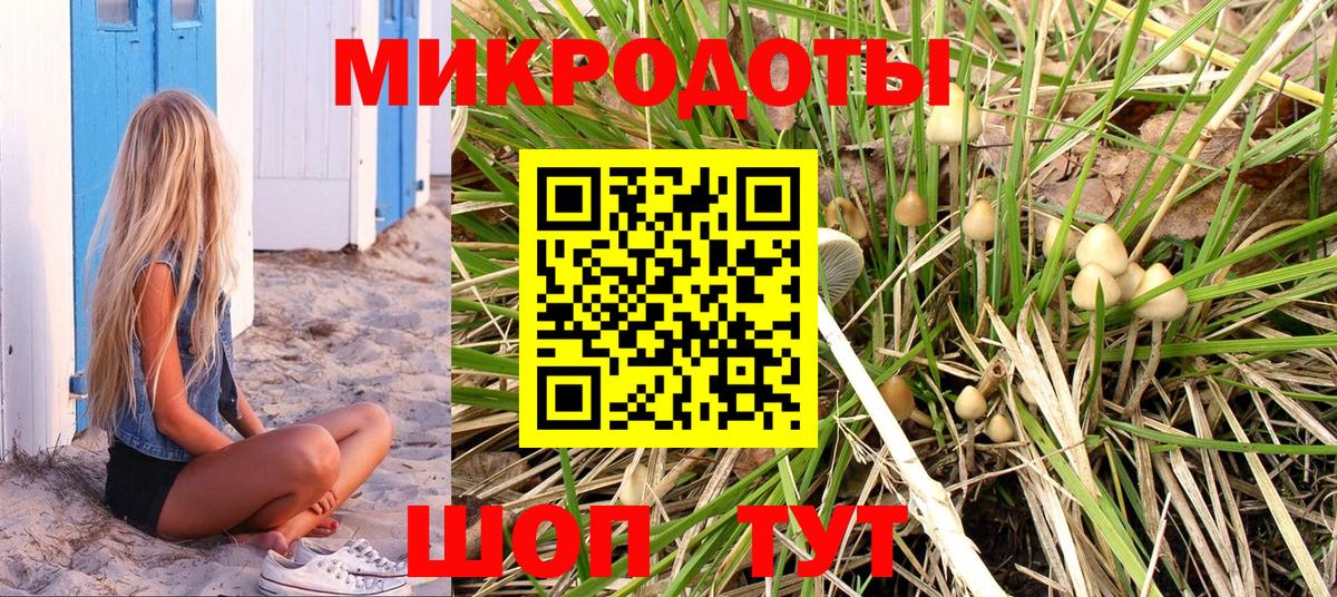 Псилоцибиновые грибы Cubensis Волоколамск