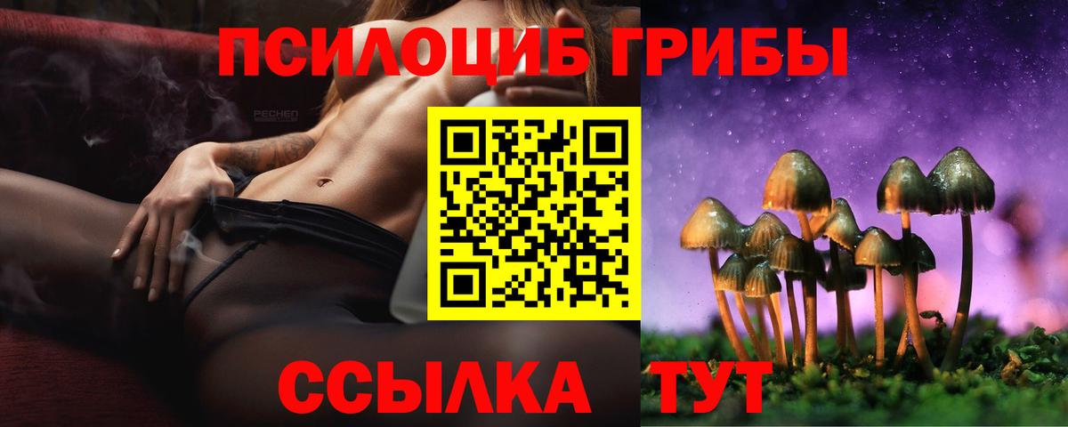 Псилоцибиновые грибы MAGIC MUSHROOMS  Волоколамск 